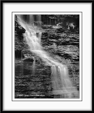 Details, Junction Falls, 2000